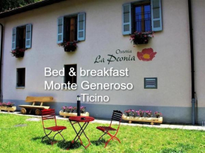 MOUNTAIN HOTEL Osteria di MONTAGNA La Peonia Monte Generoso